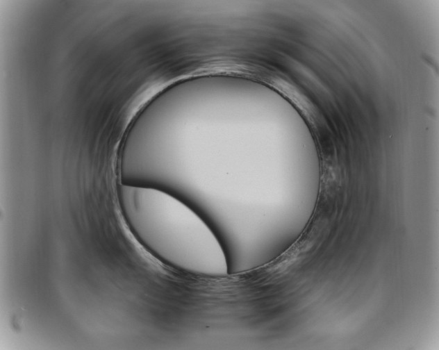 X0000097671055200802291456