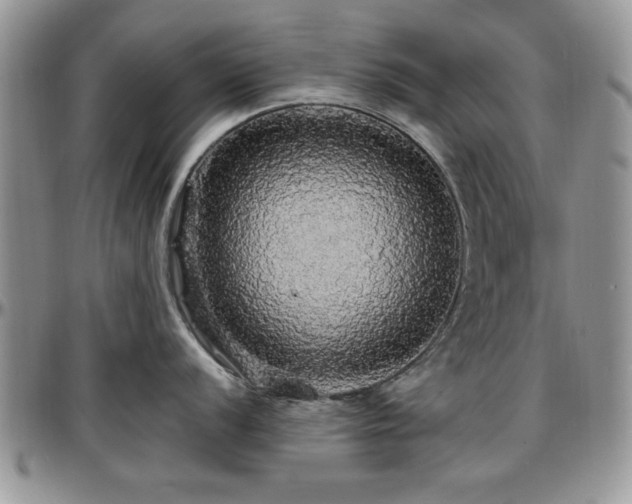 X0000097671056200802291456
