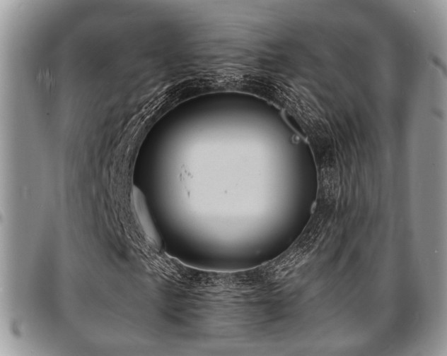 X0000097671057200802291455