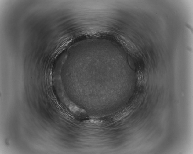 X0000097671060200802291455