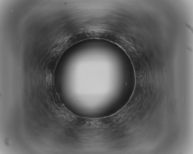 X0000097671061200802291455