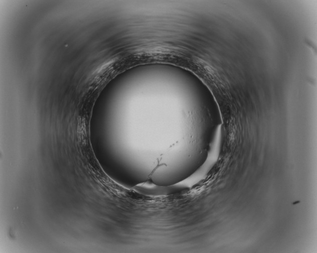 X0000097671062200802291455