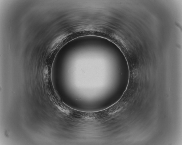 X0000097671064200802291455