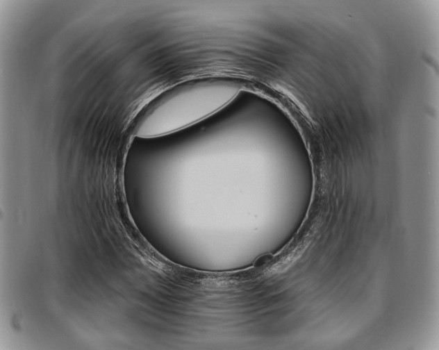 X0000097671065200802291455