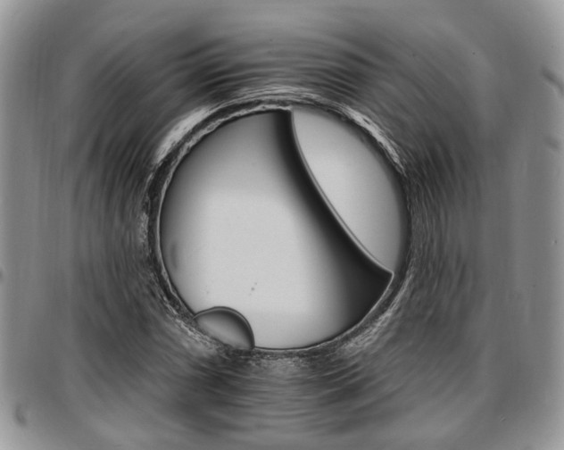 X0000097671066200802291455