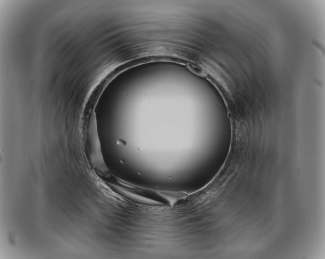 X0000097671068200802291455