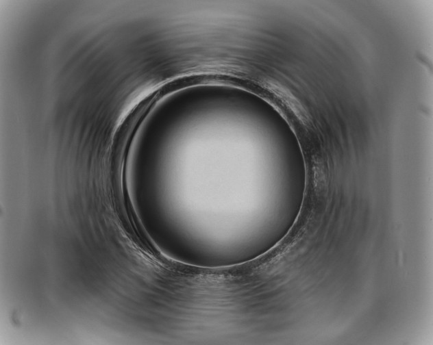 X0000097671069200802291455