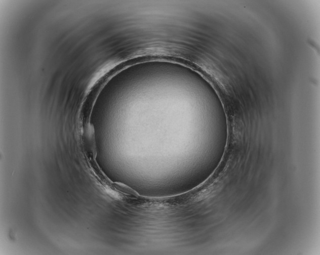 X0000097671070200802291455
