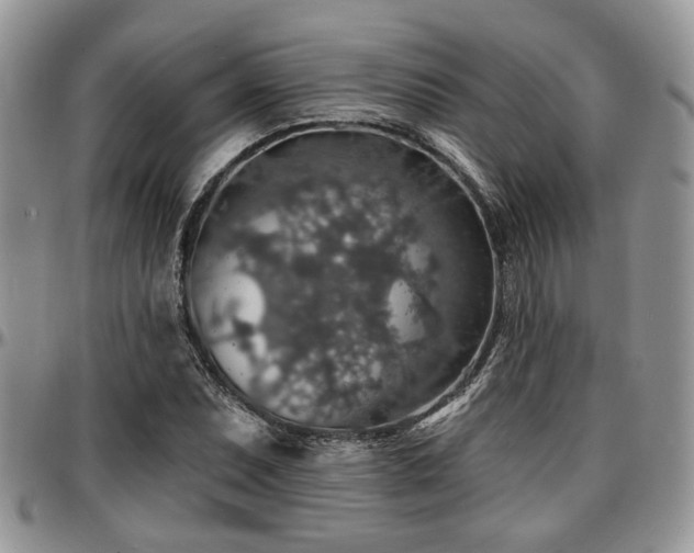 X0000097671071200802291455