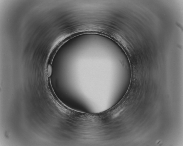 X0000097671072200802291455