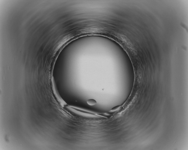X0000097671073200802291455