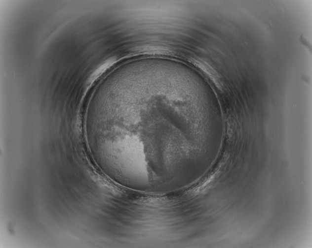 X0000097671074200802291455