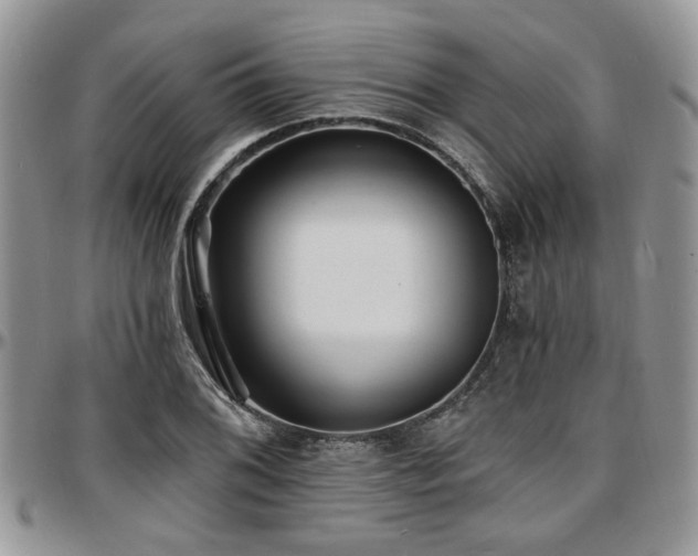 X0000097671076200802291455