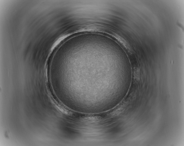 X0000097671078200802291455