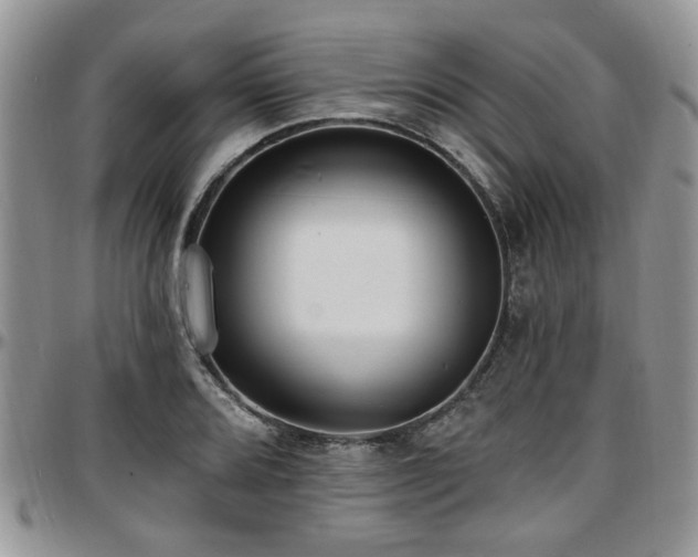 X0000097671080200802291455