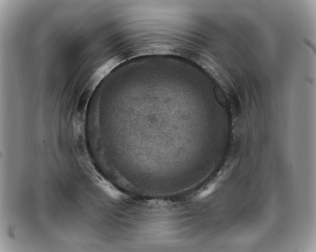 X0000097671081200802291455