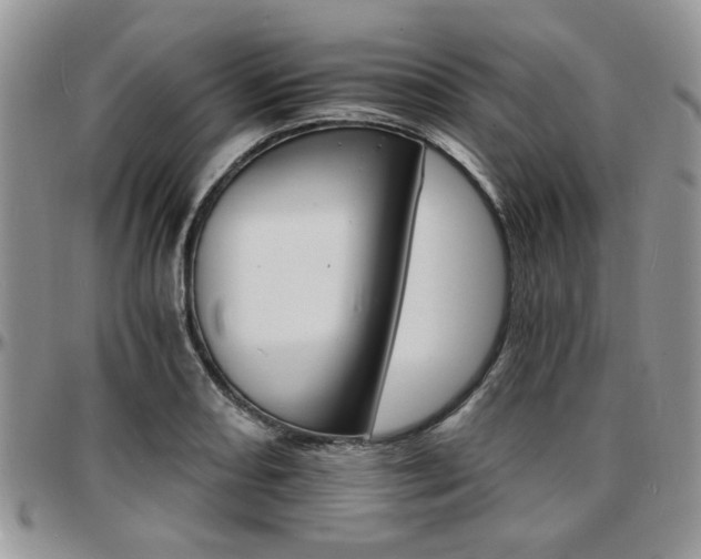 X0000097671082200802291455