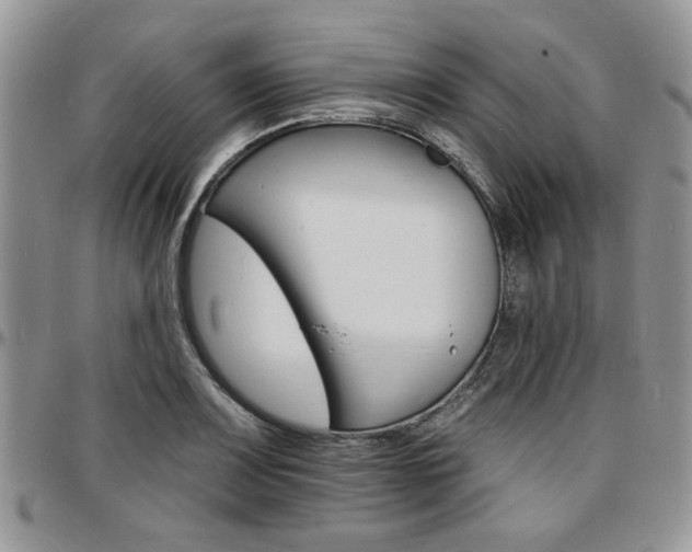 X0000097671083200802291455