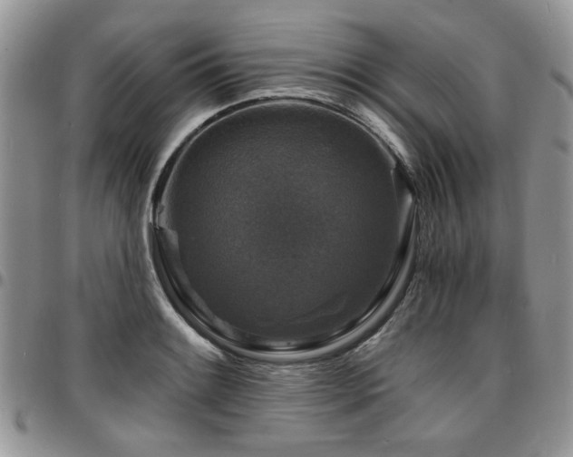 X0000097671084200802291455