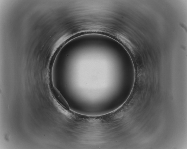 X0000097671085200802291455