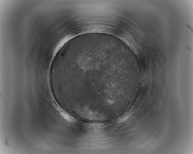 X0000097671086200802291455