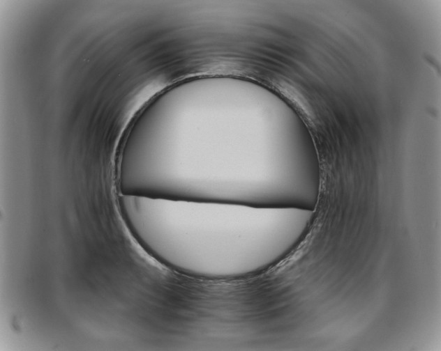 X0000097671087200802291455