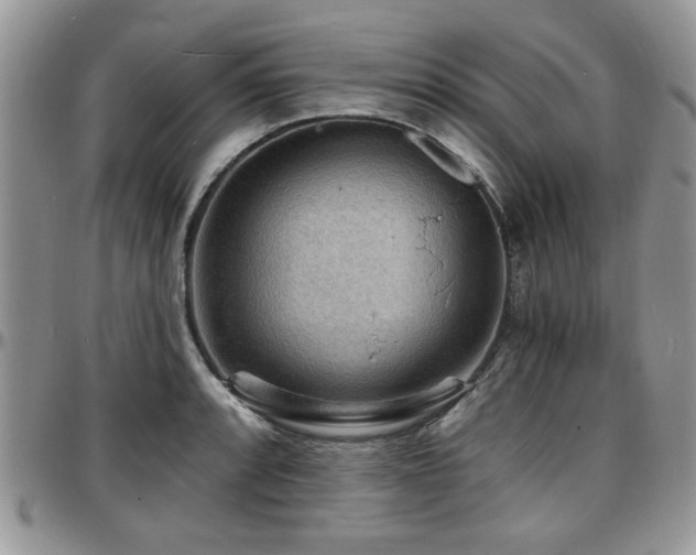 X0000097671088200802291455
