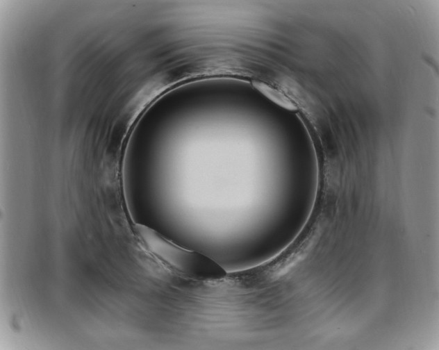 X0000097671089200802291455