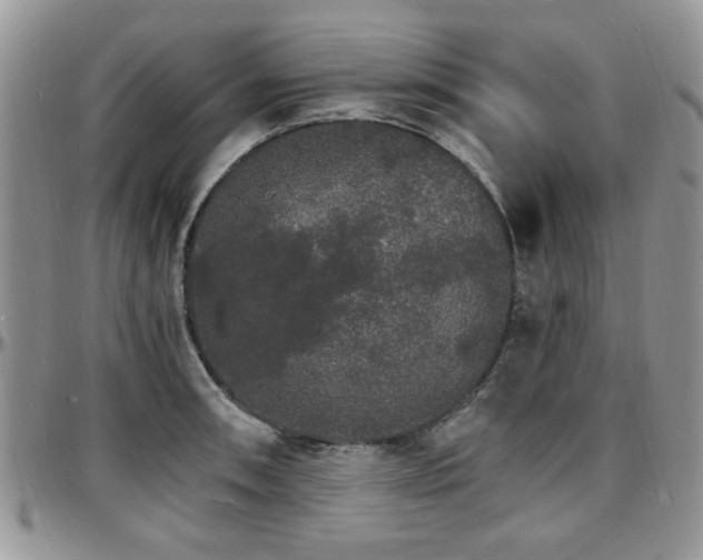 X0000097671090200802291455