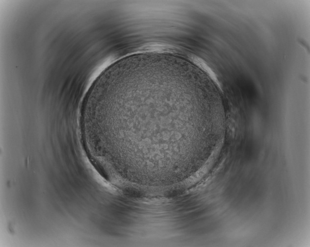X0000097671091200802291455