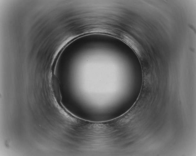 X0000097671092200802291454