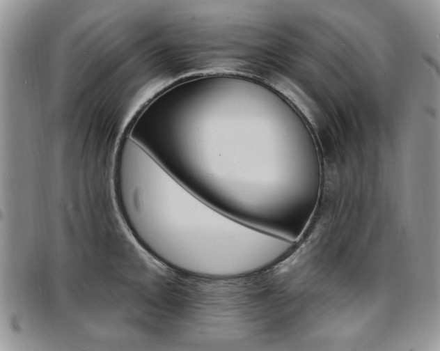 X0000097671093200802291454