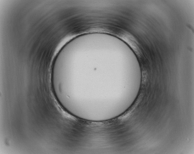 X0000097671094200802291454