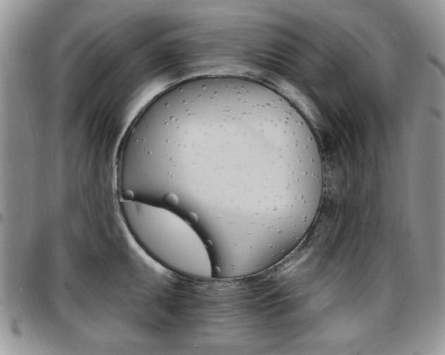 X0000097671095200802291454