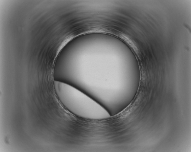 X0000097671097200802291454