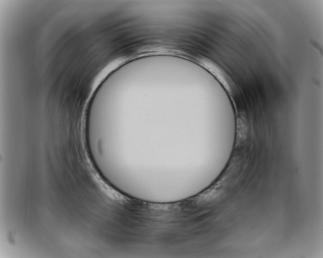 X0000097671098200802291454