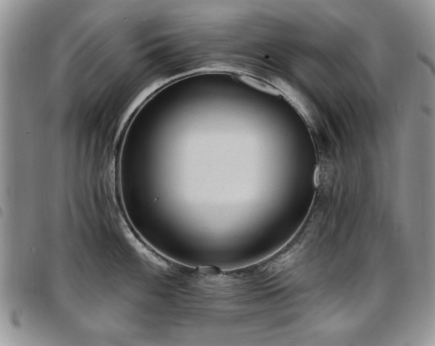 X0000097671100200802291454