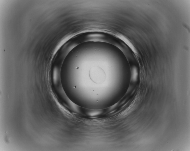 X0000097671101200802291454