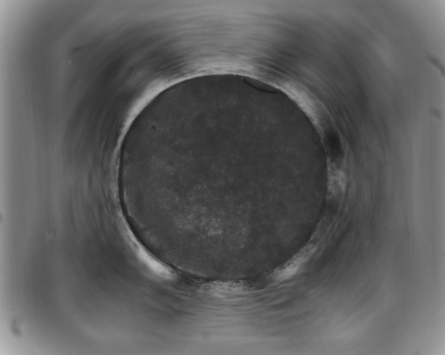 X0000097671102200802291454