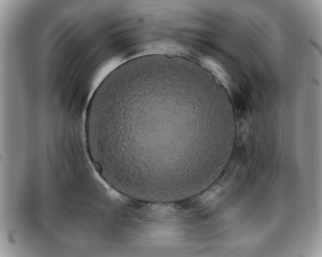 X0000097671103200802291454
