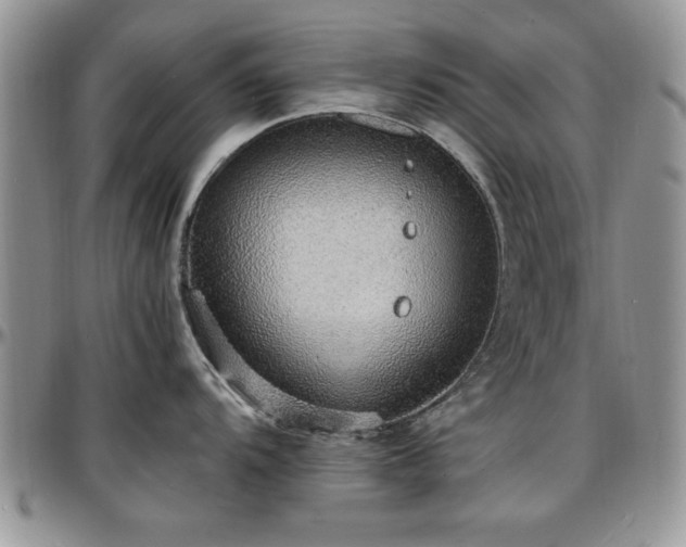 X0000097671104200802291454