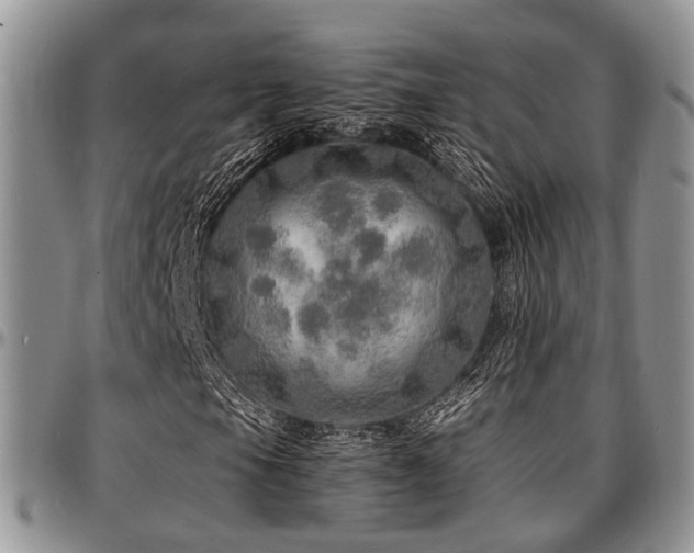 X0000097671105200802291453