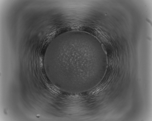 X0000097671106200802291453