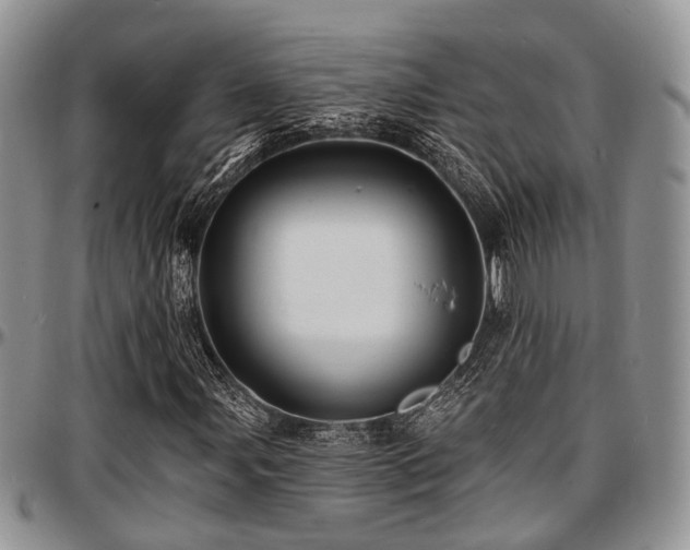 X0000097671107200802291453