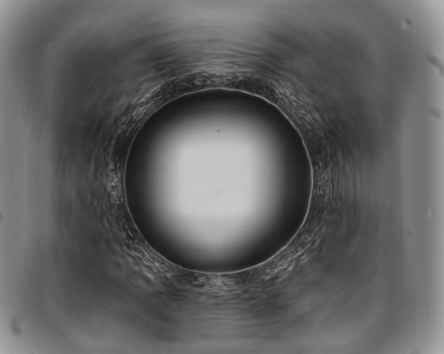 X0000097671109200802291454