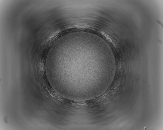 X0000097671110200802291454