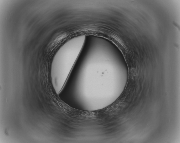 X0000097671111200802291454