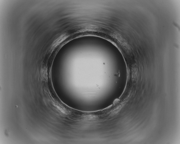 X0000097671113200802291454