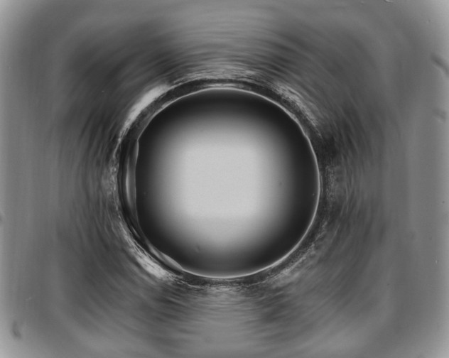 X0000097671114200802291454