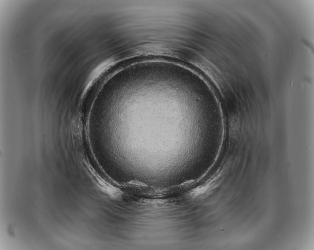 X0000097671115200802291454